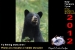 fly-fishing-2012_0006