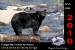 resize-of-safari-26-2120